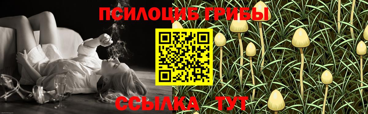 Псилоцибиновые грибы ЛСД Чебаркуль